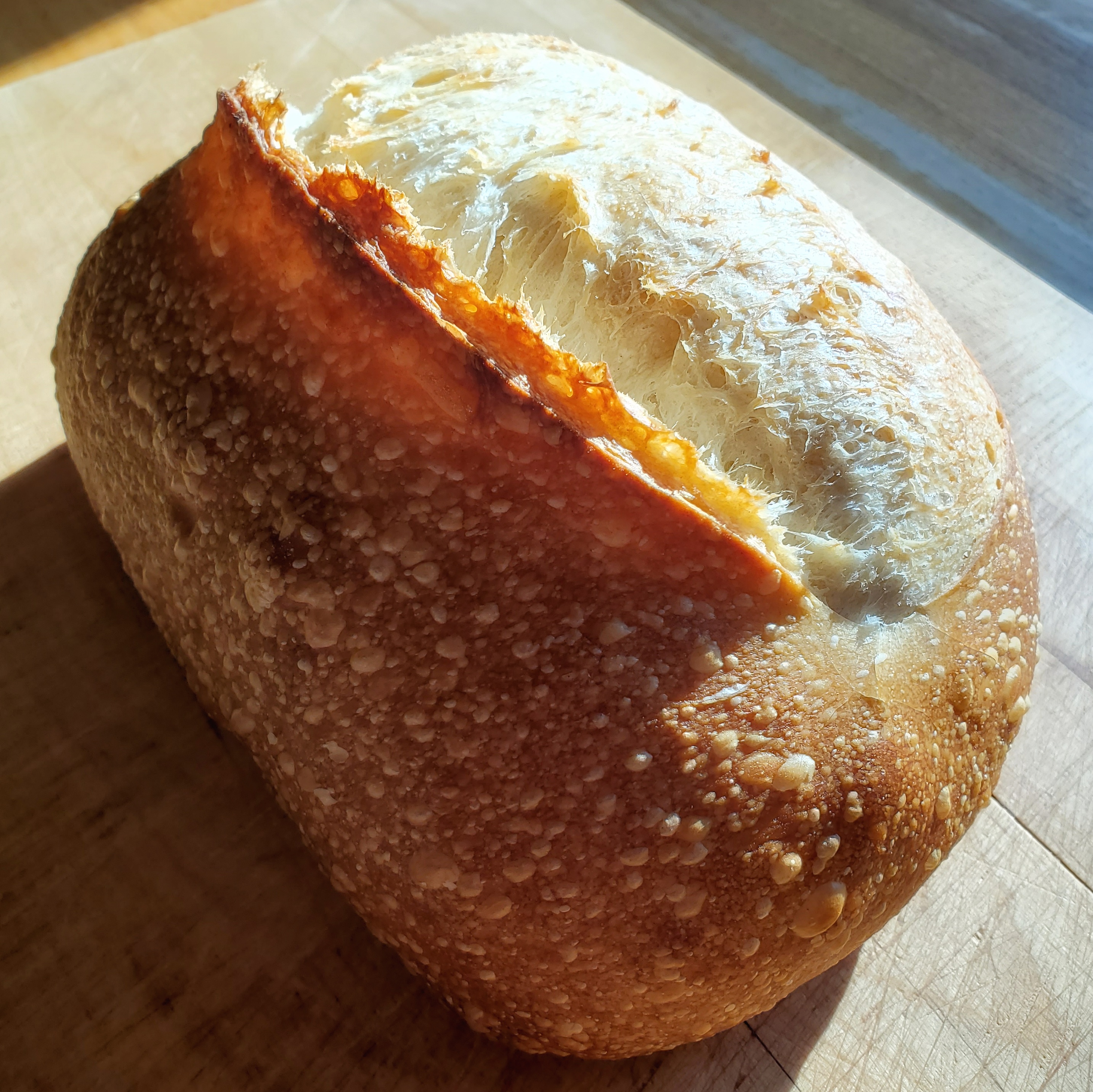 Mature Dried Sourdough Starter (10g) - Homebaking With Recipe & Instructions